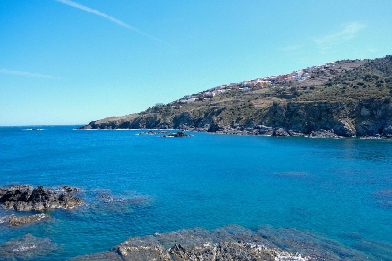 F3 En Bord De Mer Avec Piscine Cerbère Extérieur photo