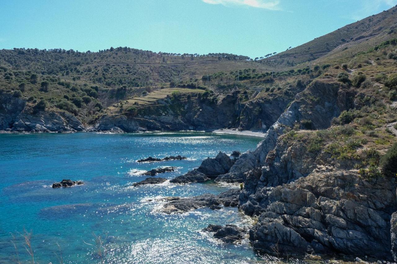 F3 En Bord De Mer Avec Piscine Cerbère Extérieur photo